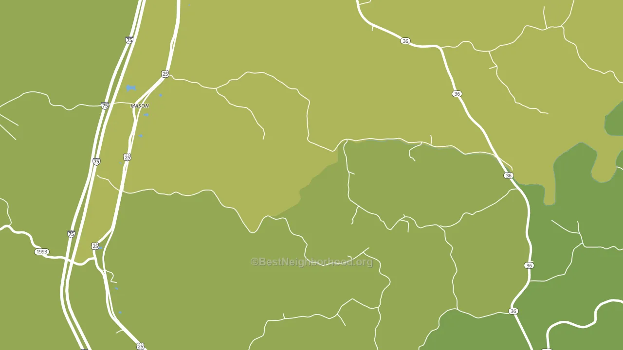 Mason, KY block-group voter-turnout map