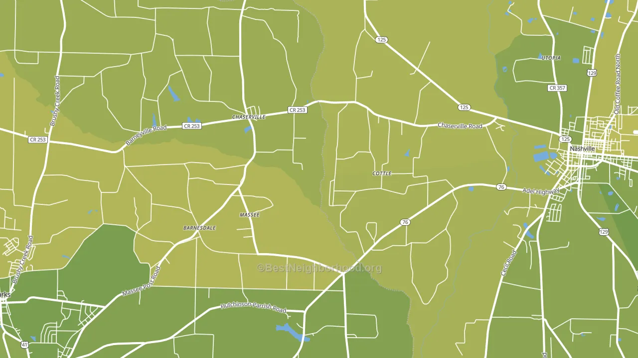 Massee, GA block-group voter-turnout map
