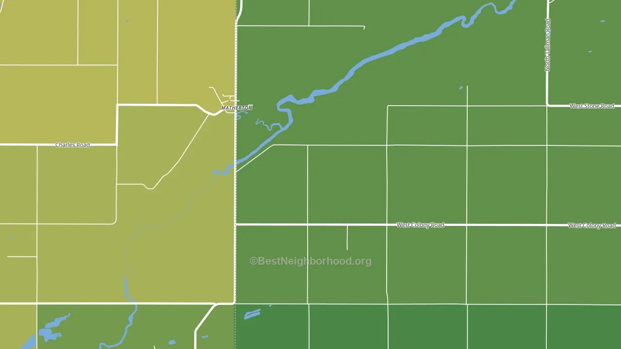Matherton, MI block-group voter-turnout map