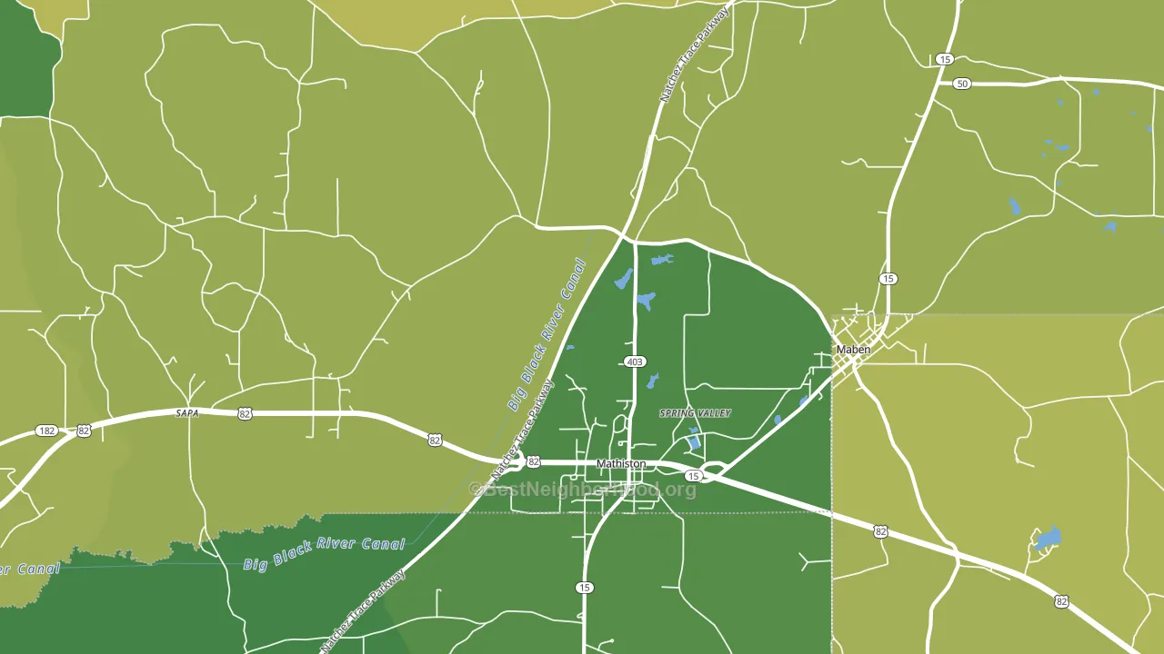 Mathiston, MS block-group voter-turnout map