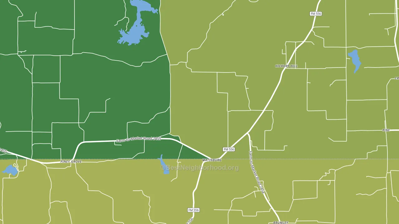 Matinburg, TX block-group voter-turnout map