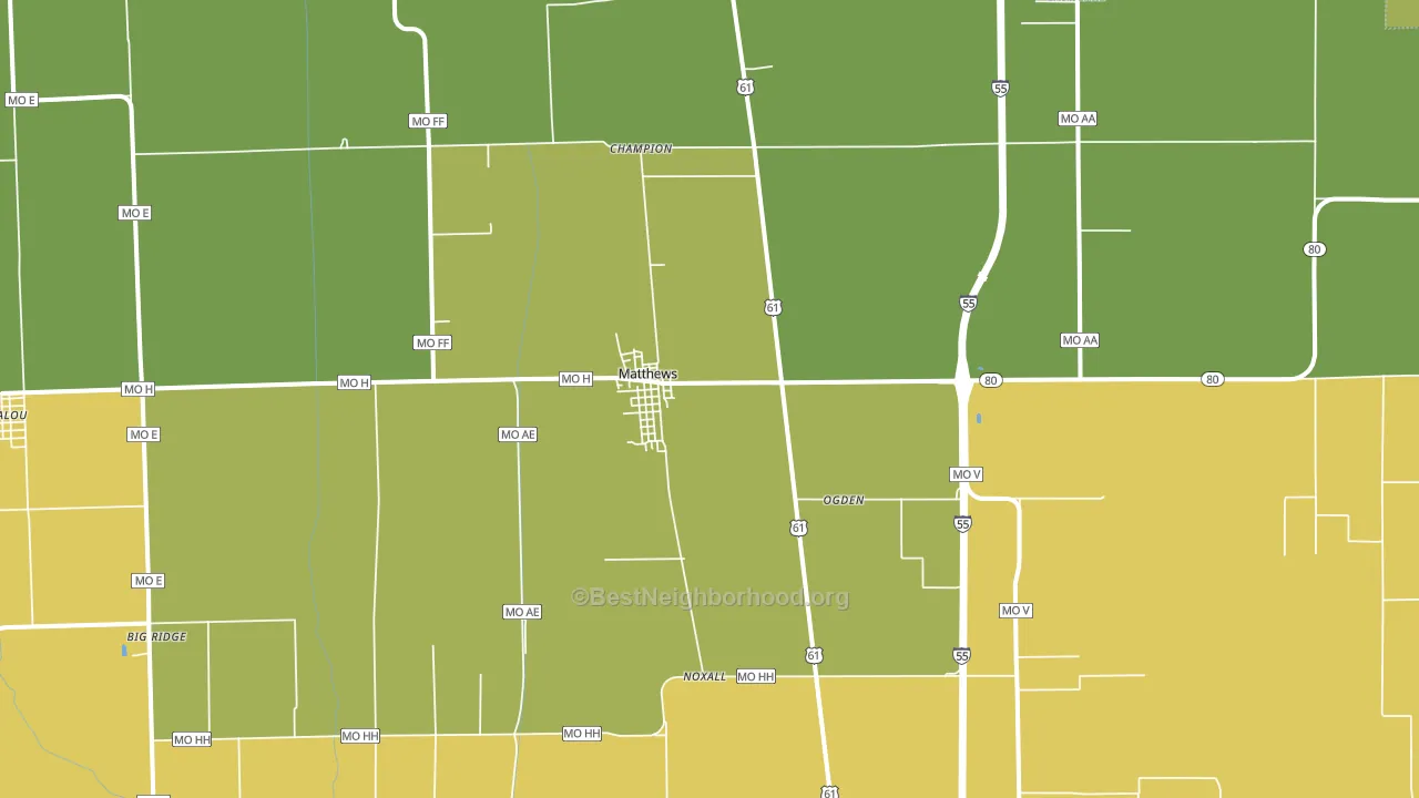 Matthews, MO block-group voter-turnout map
