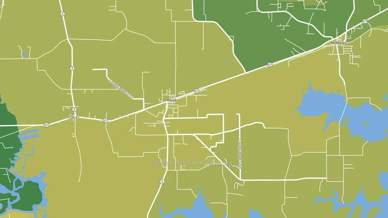 Maud, TX block-group voter-turnout map