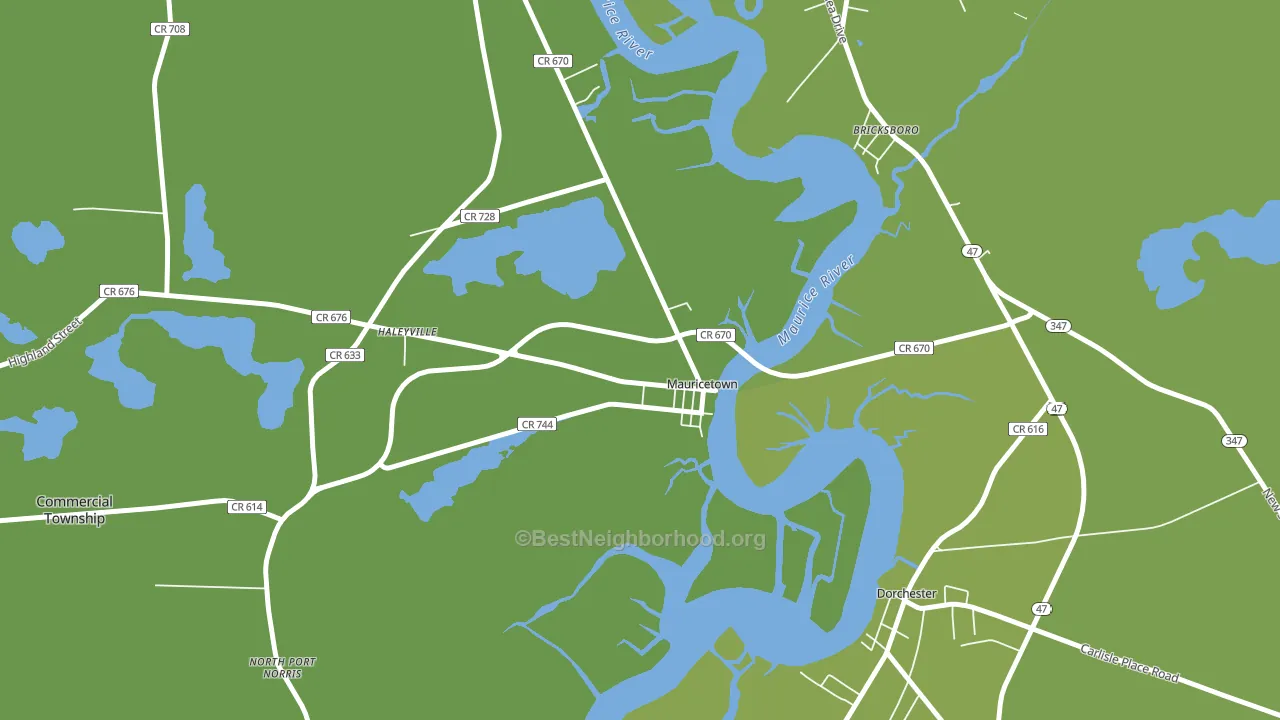 Mauricetown, NJ block-group voter-turnout map