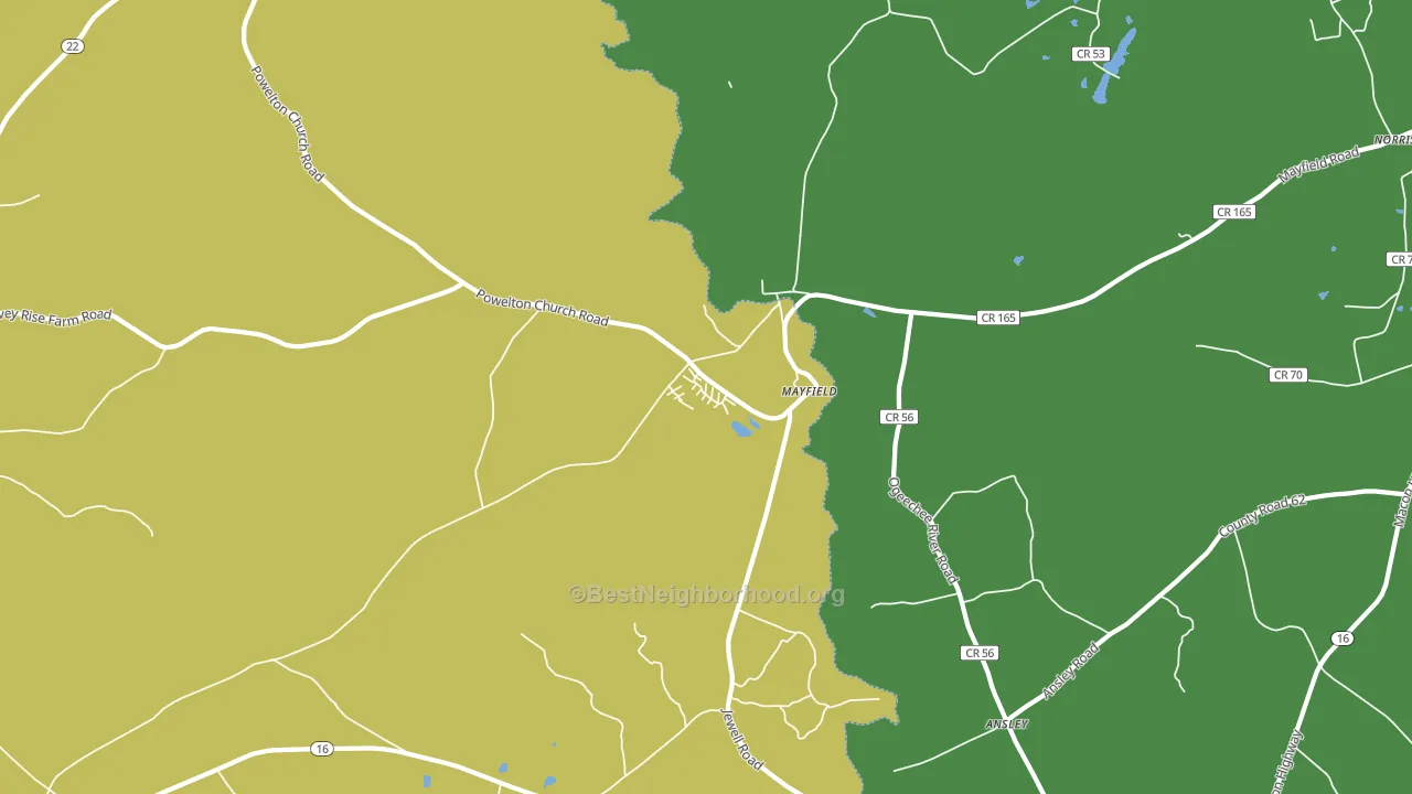 Mayfield, GA block-group voter-turnout map