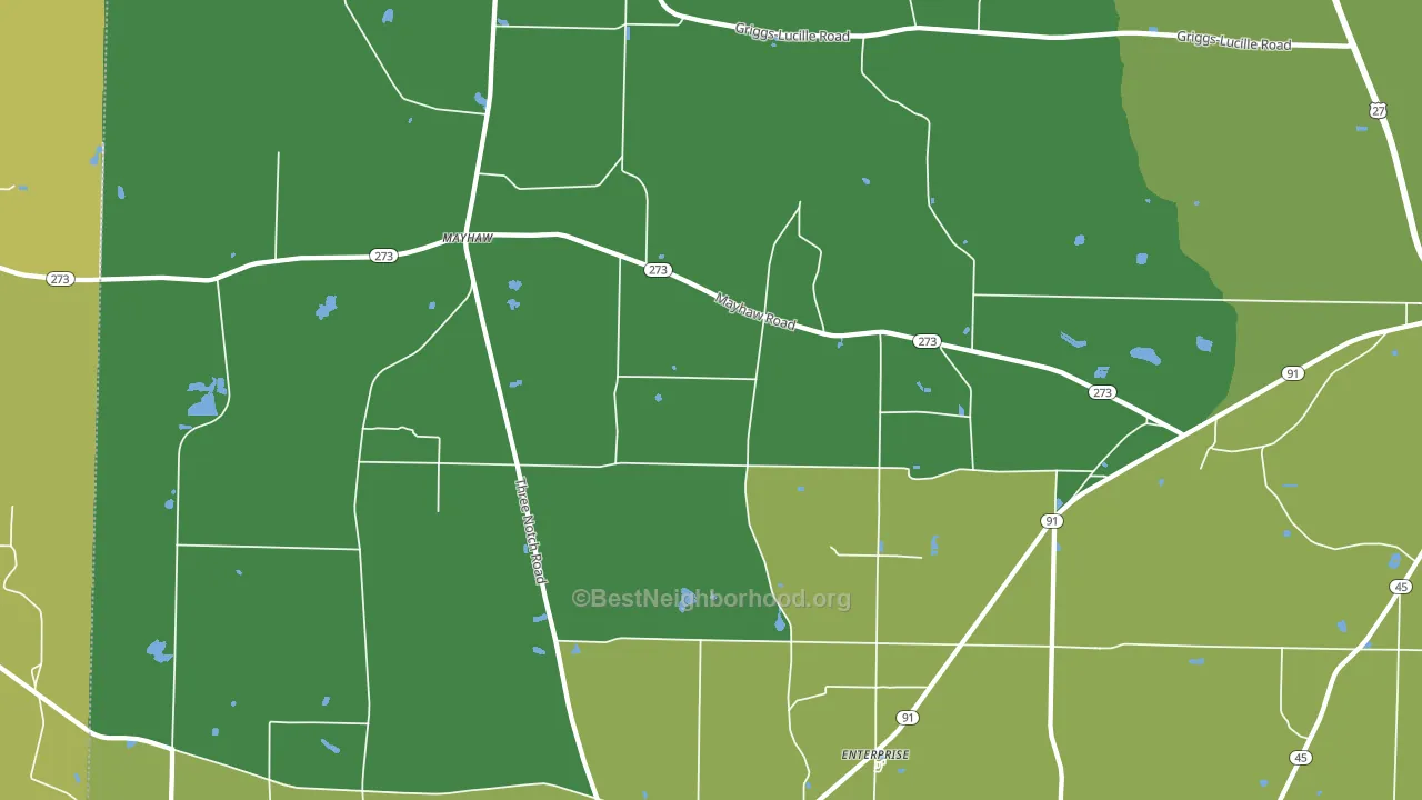 Mayhaw, GA block-group voter-turnout map