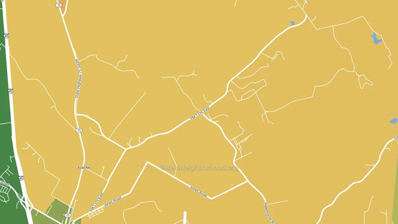 Maynard, TX block-group voter-turnout map