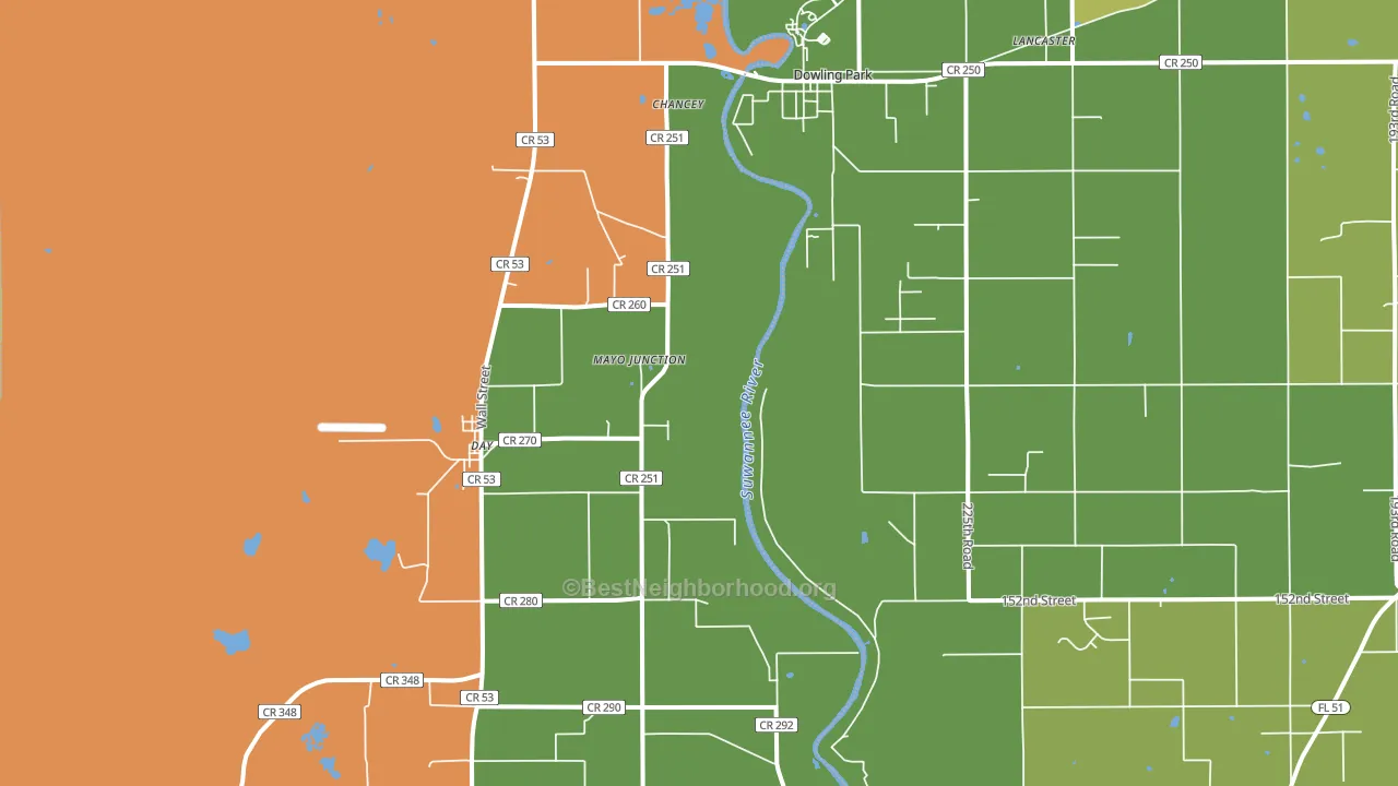 Mayo Junction, FL block-group voter-turnout map