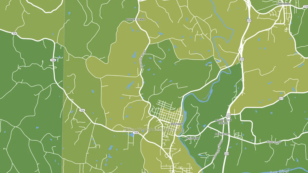 Mayodan, NC block-group voter-turnout map