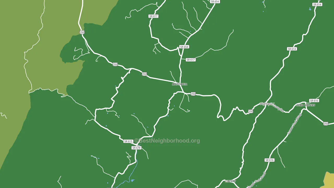 Mc Dowell, VA block-group voter-turnout map