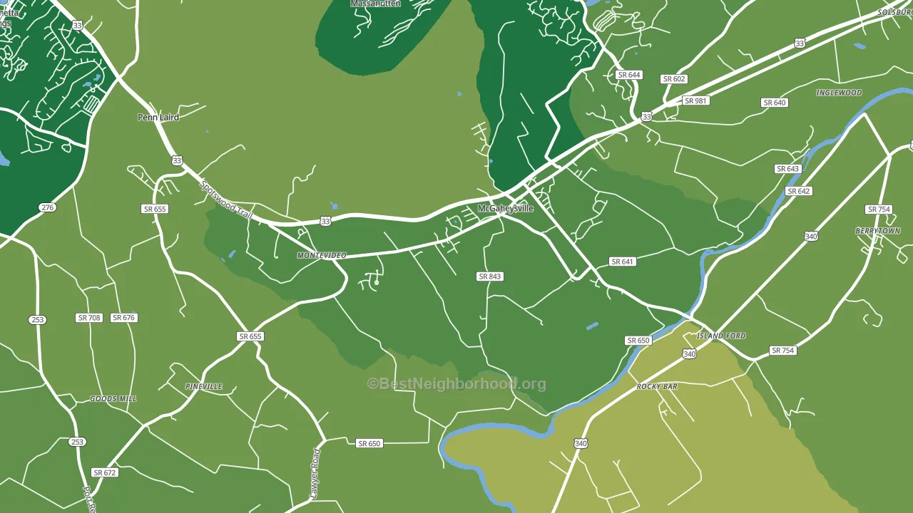 Mc Gaheysville, VA block-group voter-turnout map