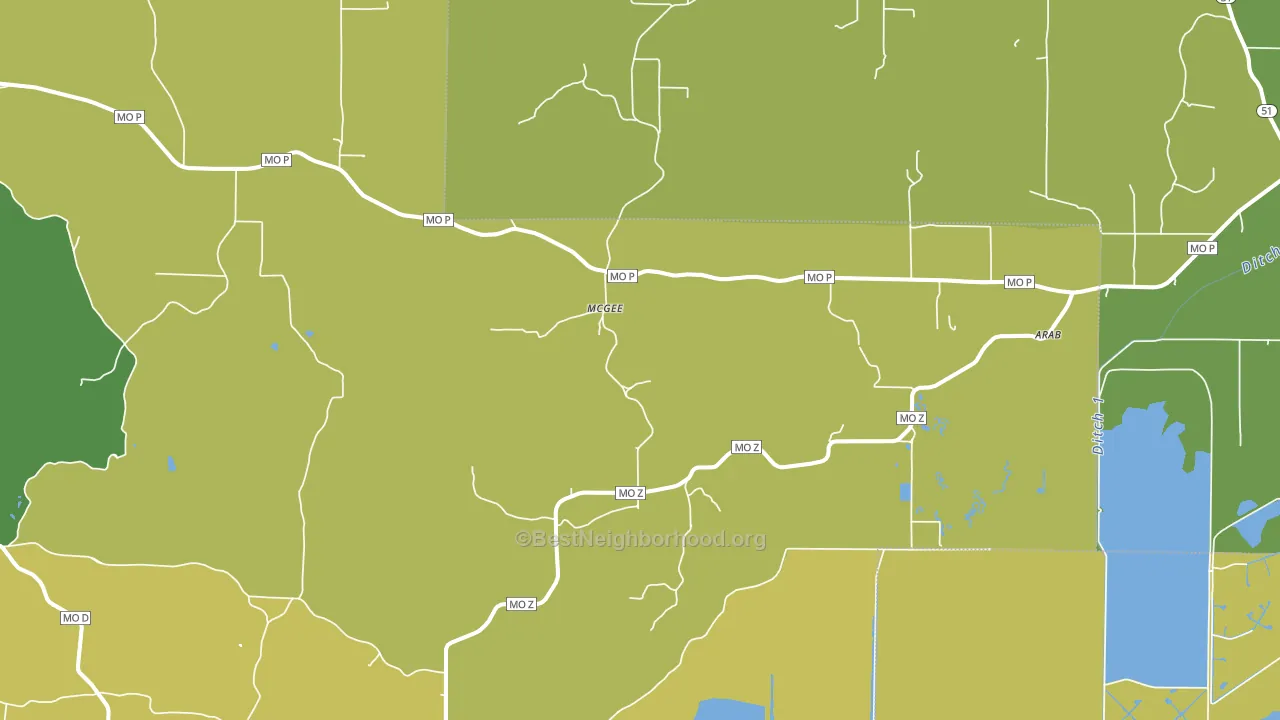 Mc Gee, MO block-group voter-turnout map