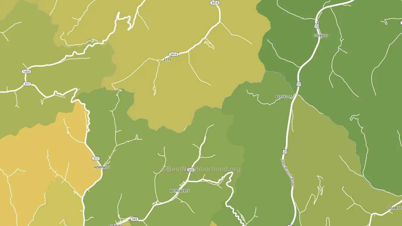Mc Roberts, KY block-group voter-turnout map