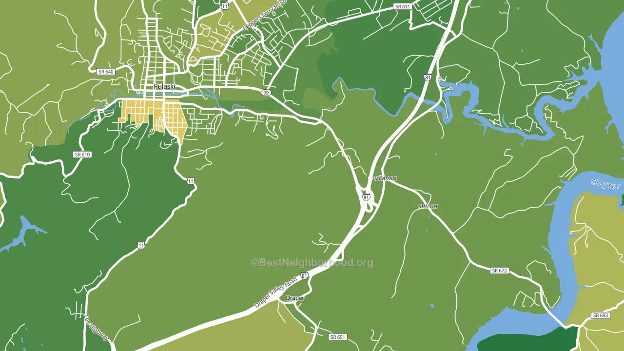 McAdam, VA block-group voter-turnout map