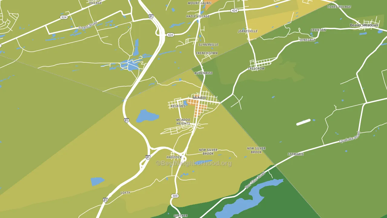 Mcadoo, PA block-group voter-turnout map