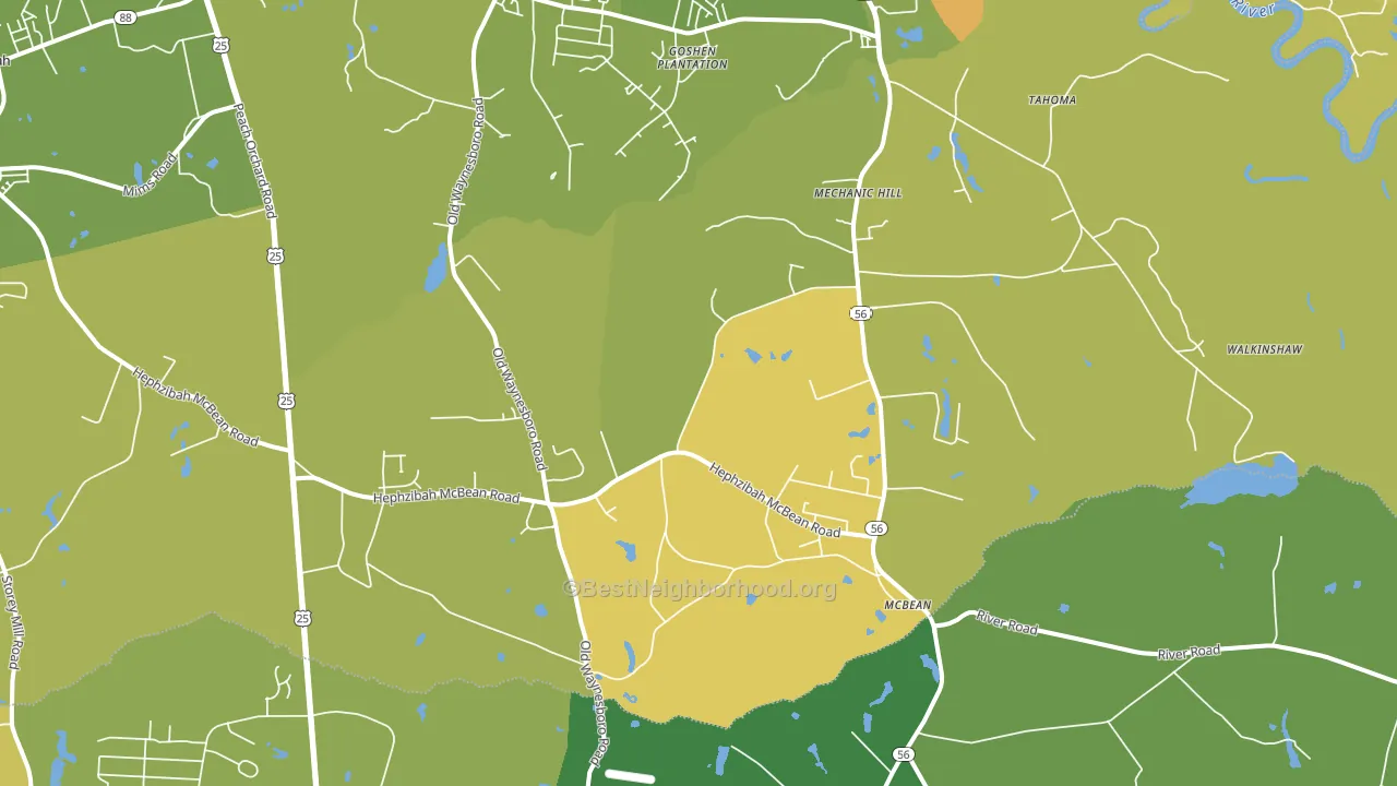 McBean, GA block-group voter-turnout map