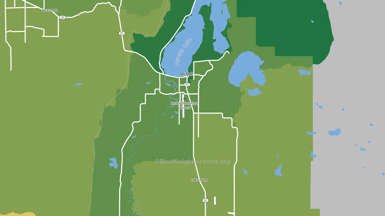 McCall, ID block-group voter-turnout map