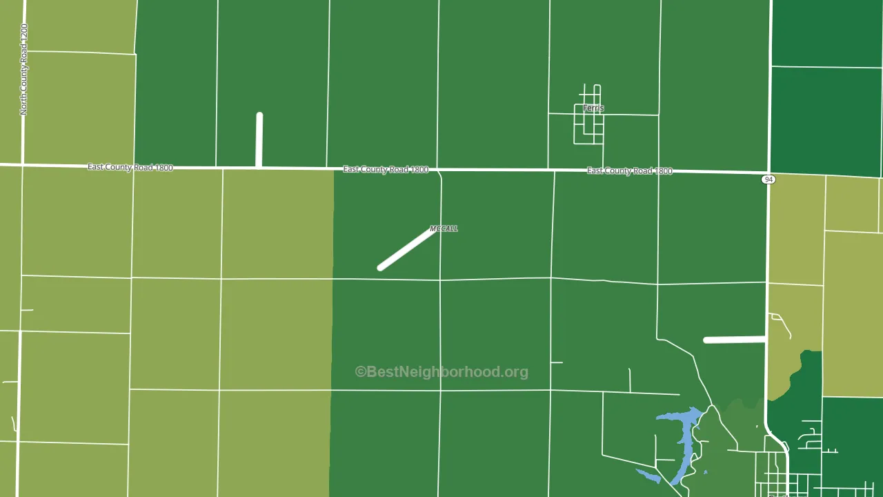 McCall, IL block-group voter-turnout map