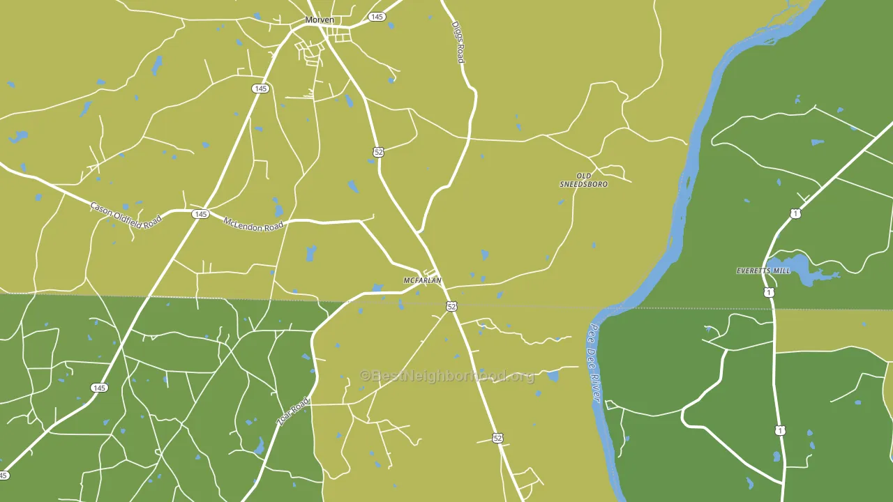 McFarlan, NC block-group voter-turnout map