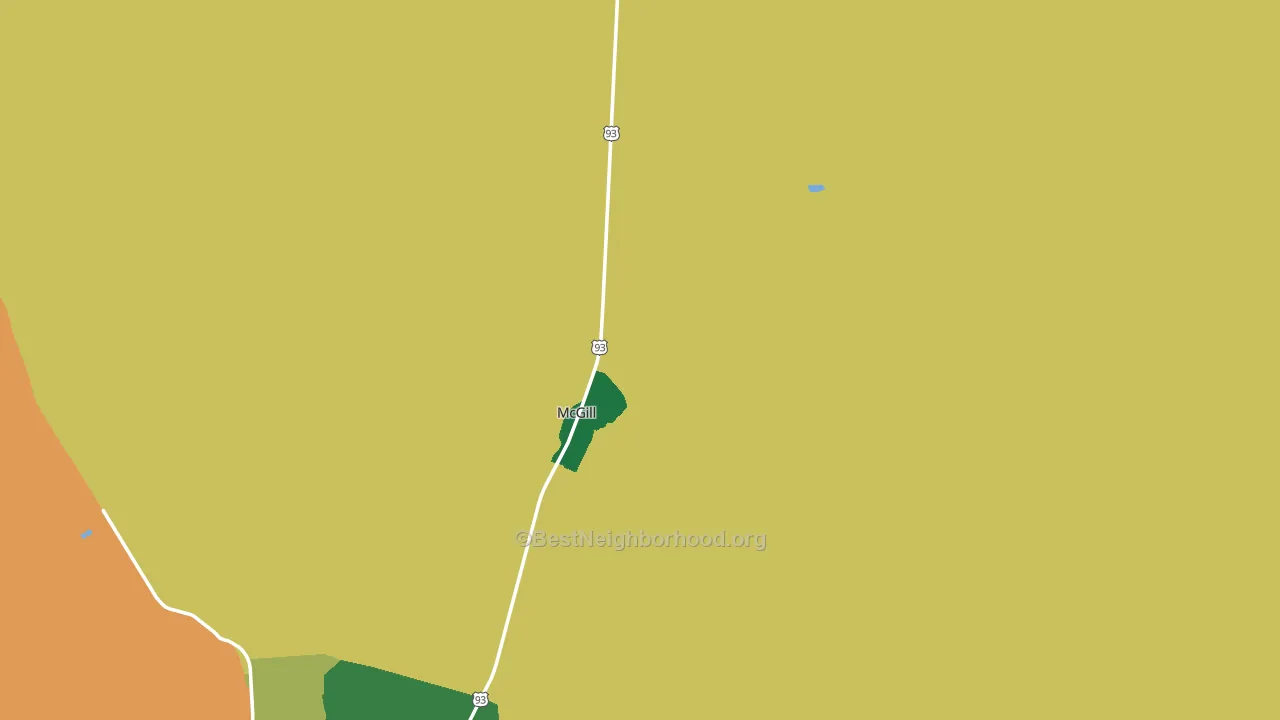 McGill, NV block-group voter-turnout map