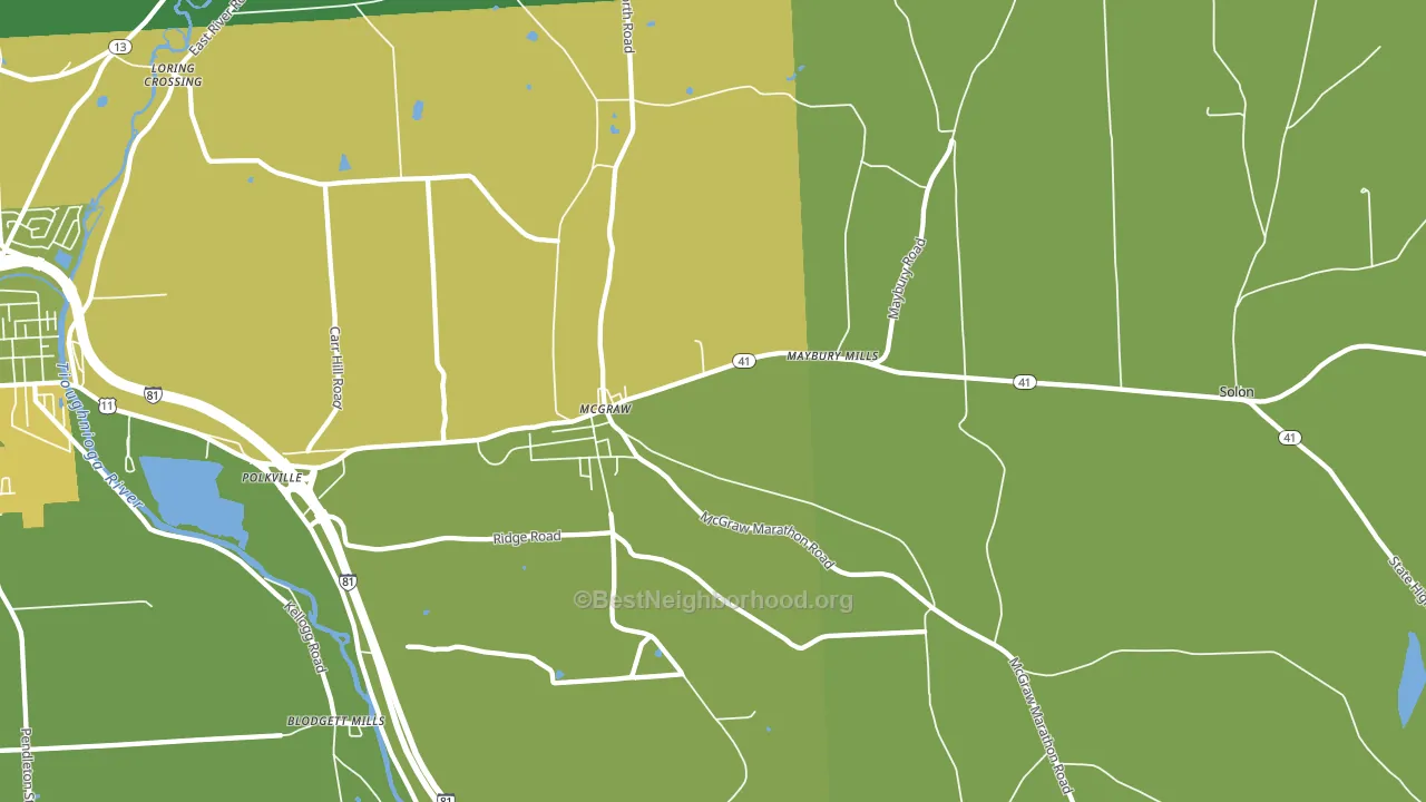 McGraw, NY block-group voter-turnout map