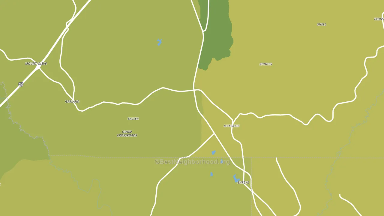 McKenzie, AL block-group voter-turnout map