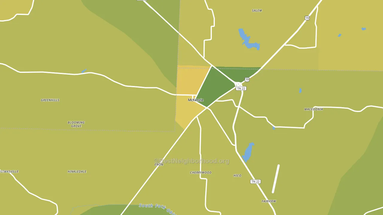 McKenzie, TN block-group voter-turnout map