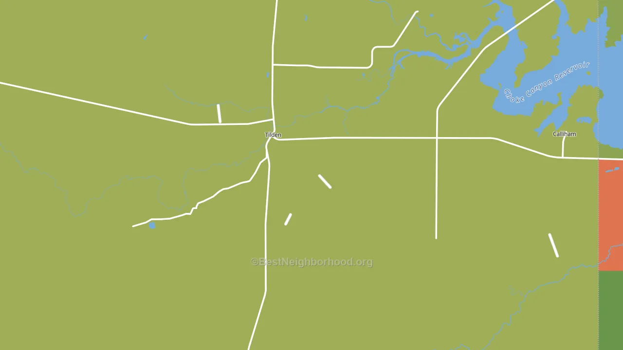 McMullen County, TX block-group voter-turnout map