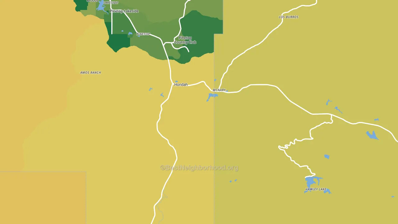 McNary, AZ block-group voter-turnout map