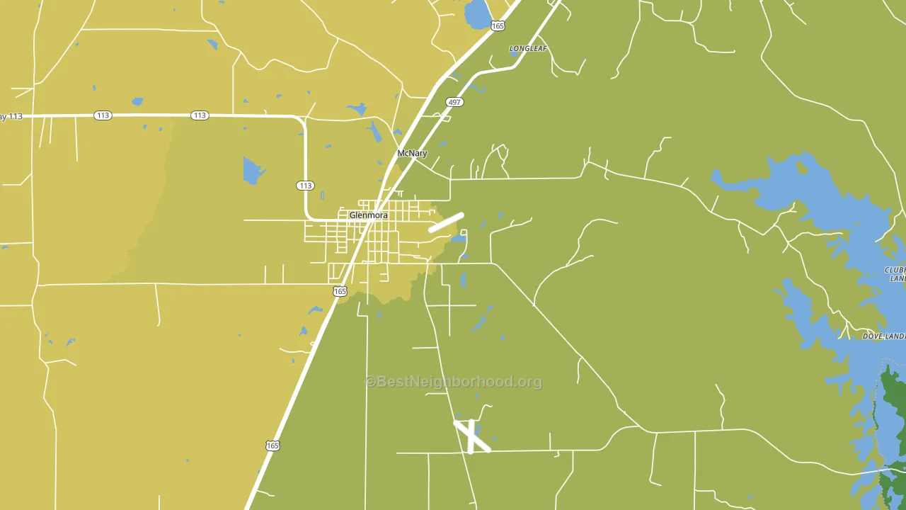McNary, LA block-group voter-turnout map