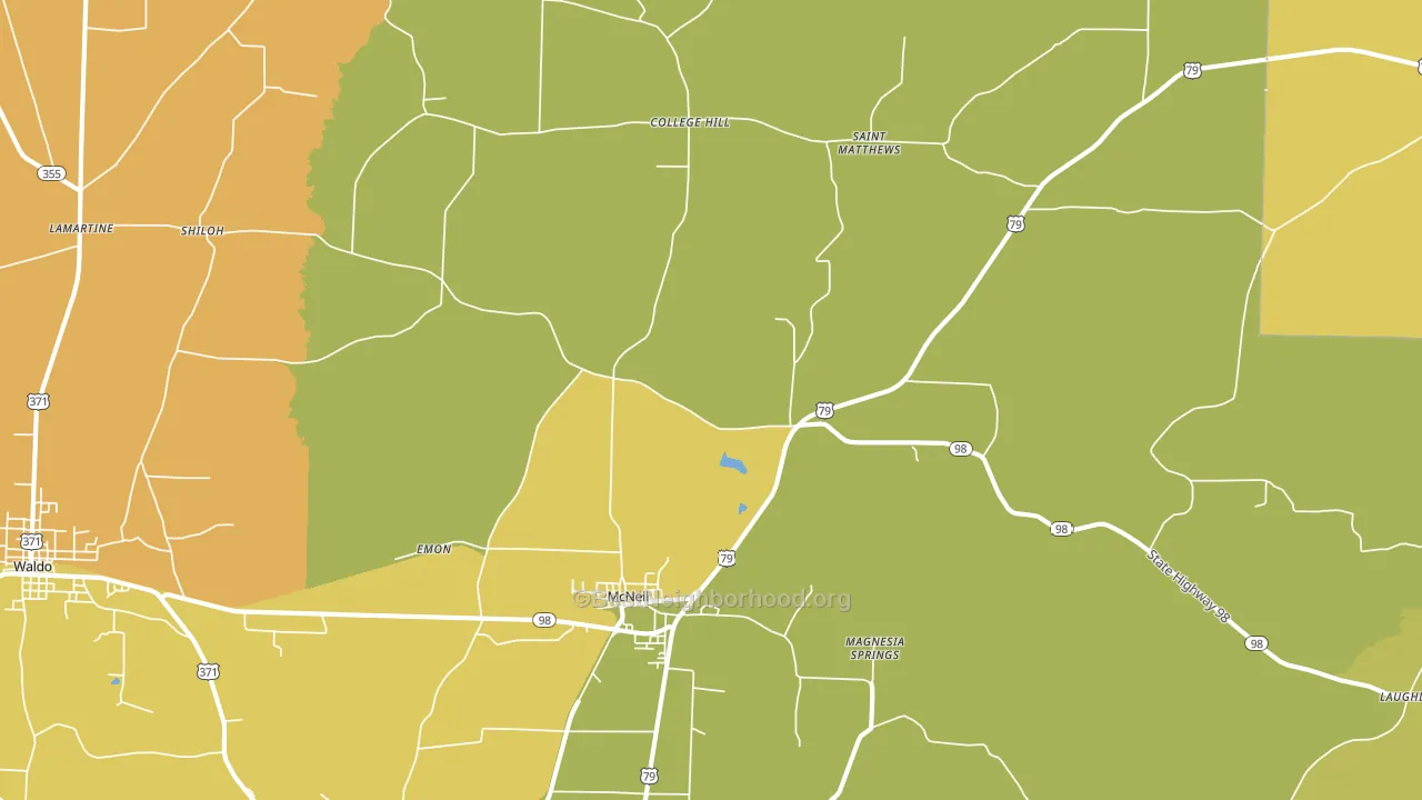 McNeil, AR block-group voter-turnout map