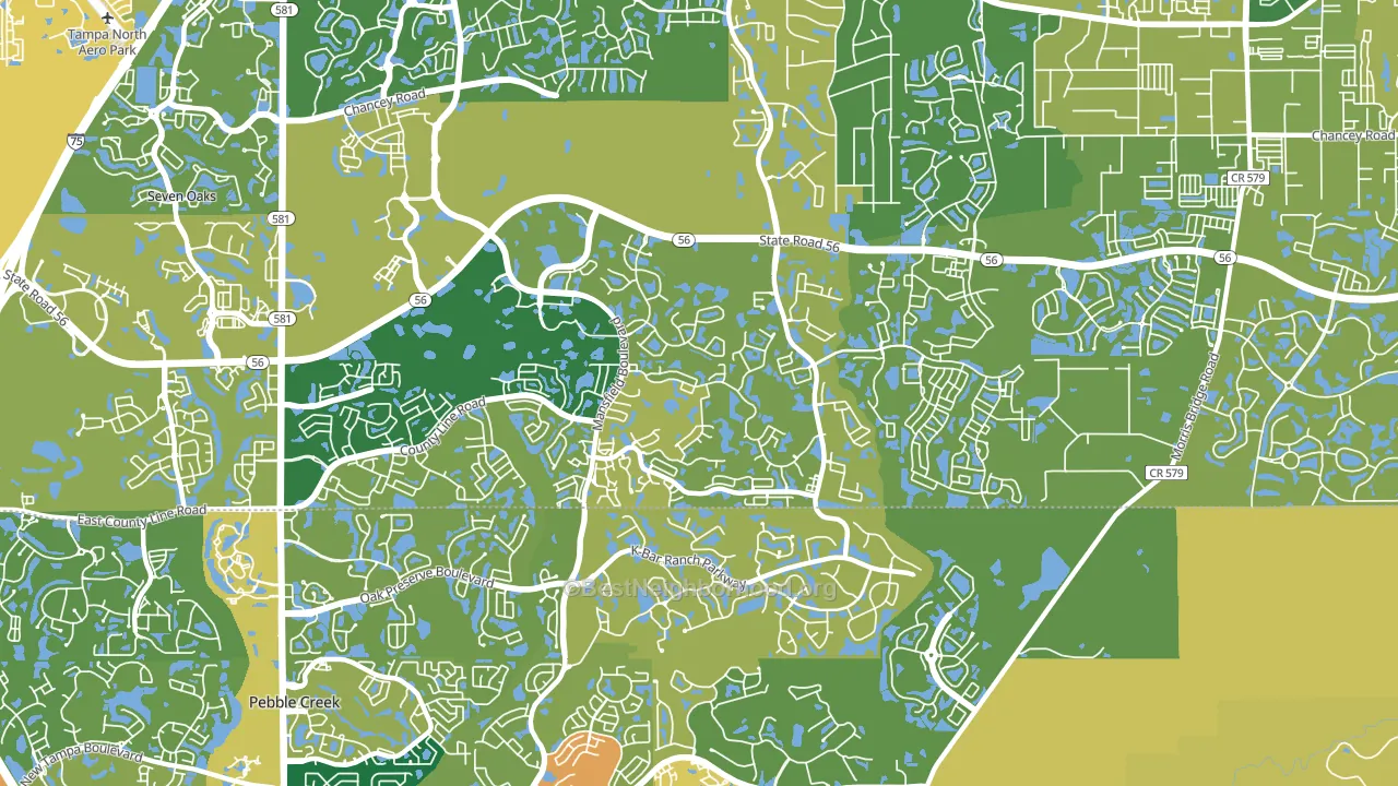 Meadow Point, Wesley Chapel, FL block-group voter-turnout map