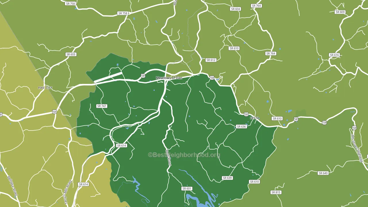 Meadows Of Dan, VA block-group voter-turnout map