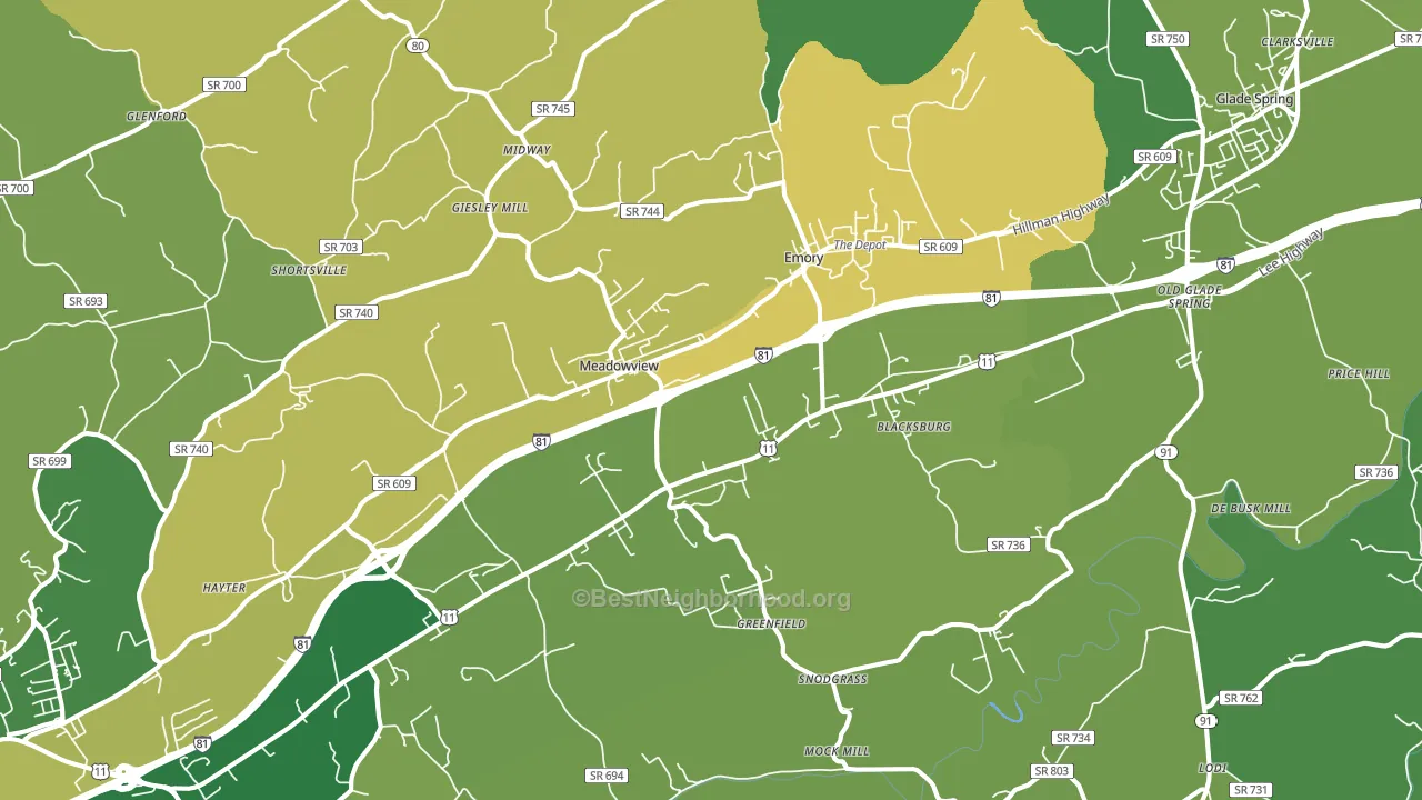 Meadowview, VA block-group voter-turnout map
