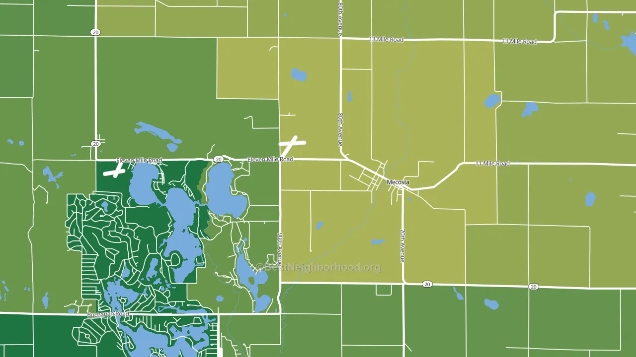 Mecosta, MI block-group voter-turnout map
