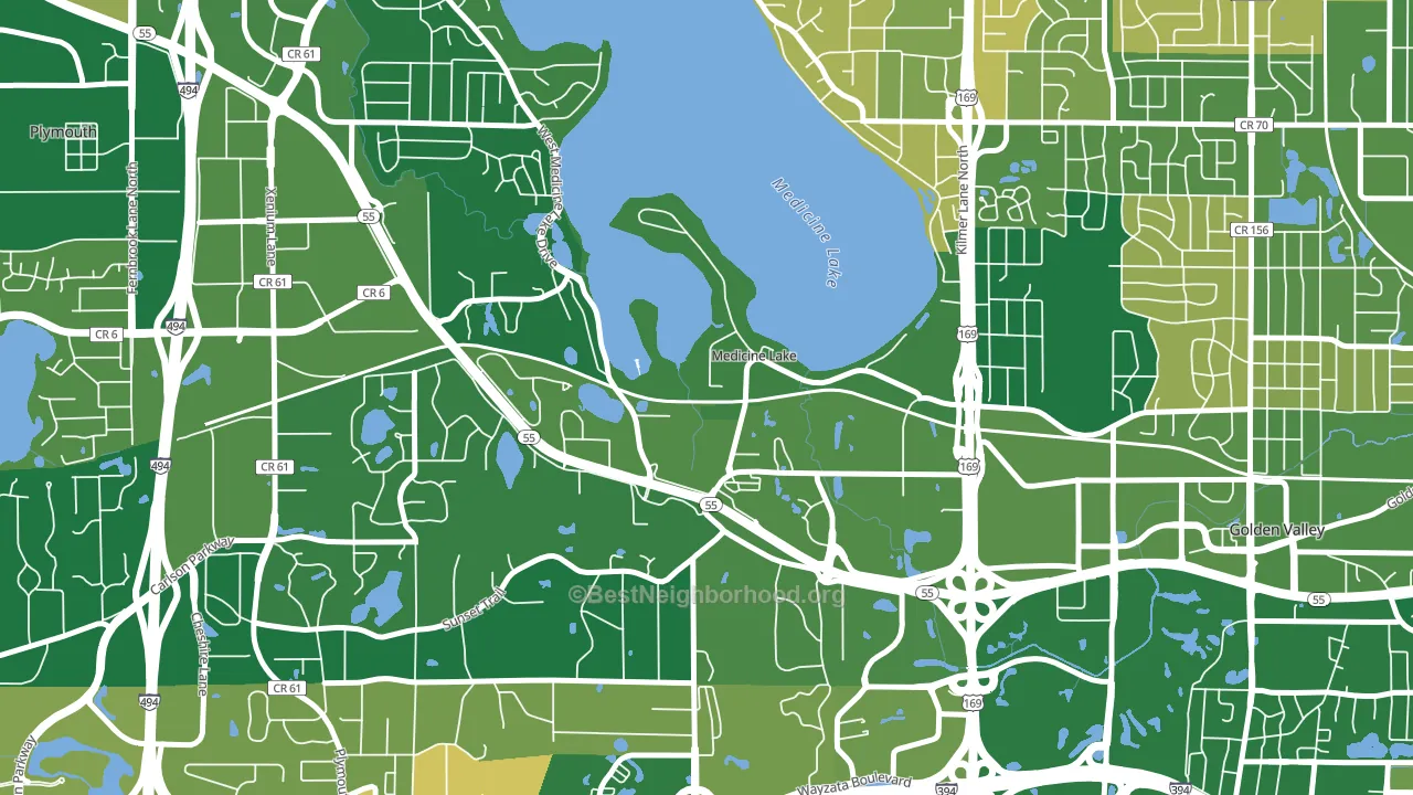 Medicine Lake, MN block-group voter-turnout map