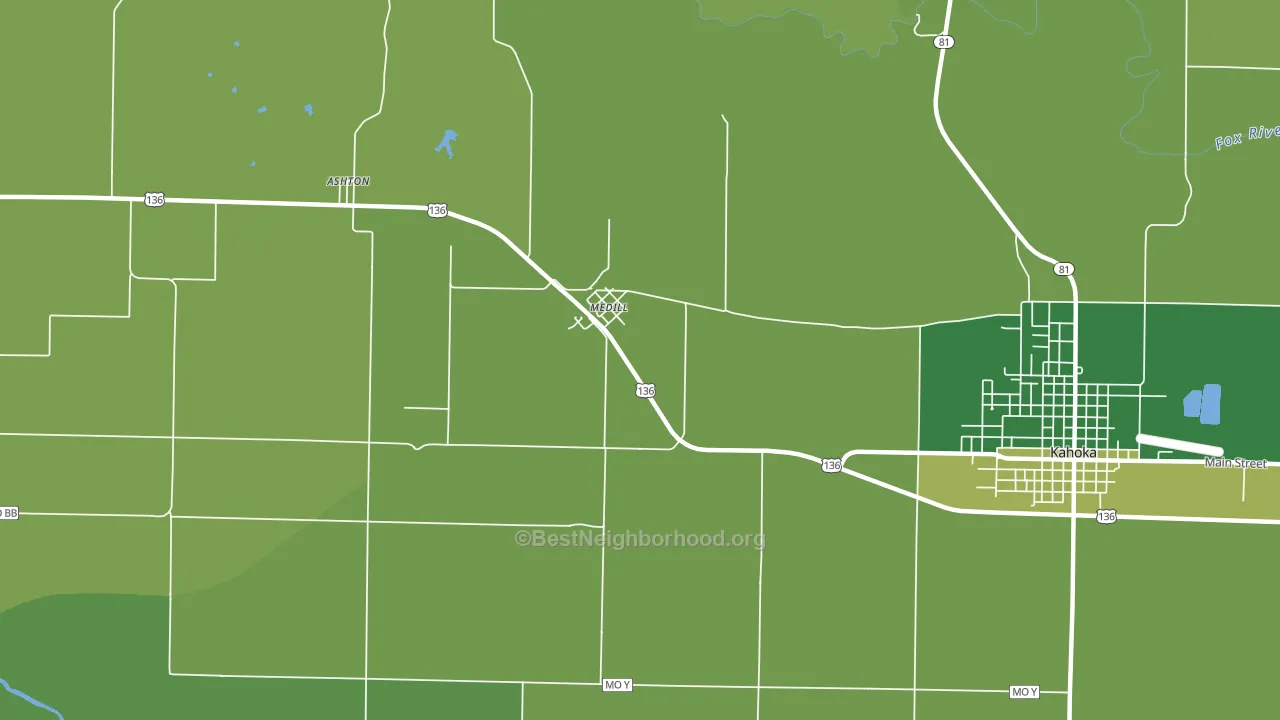 Medill, MO block-group voter-turnout map