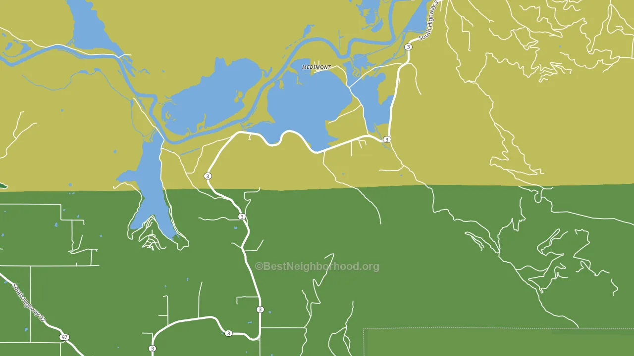 Medimont, ID block-group voter-turnout map