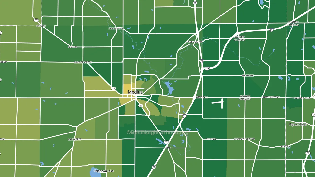 Medina County, OH block-group voter-turnout map