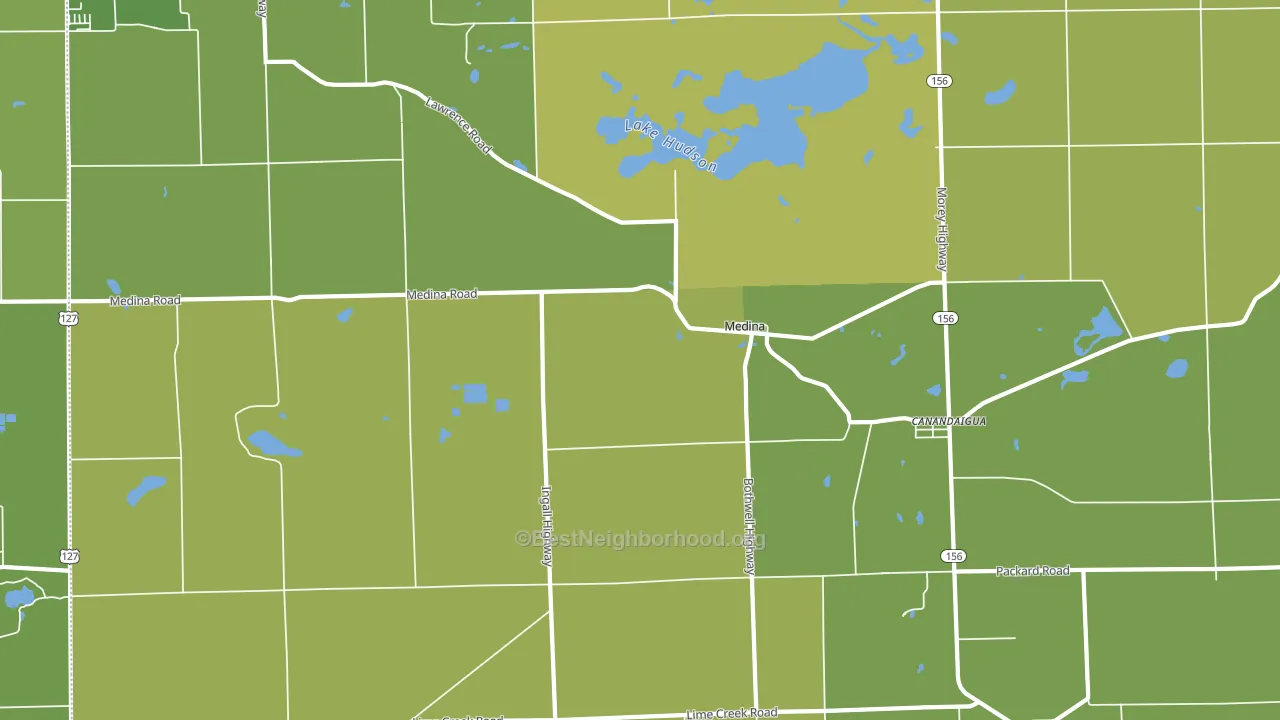 Medina, MI block-group voter-turnout map