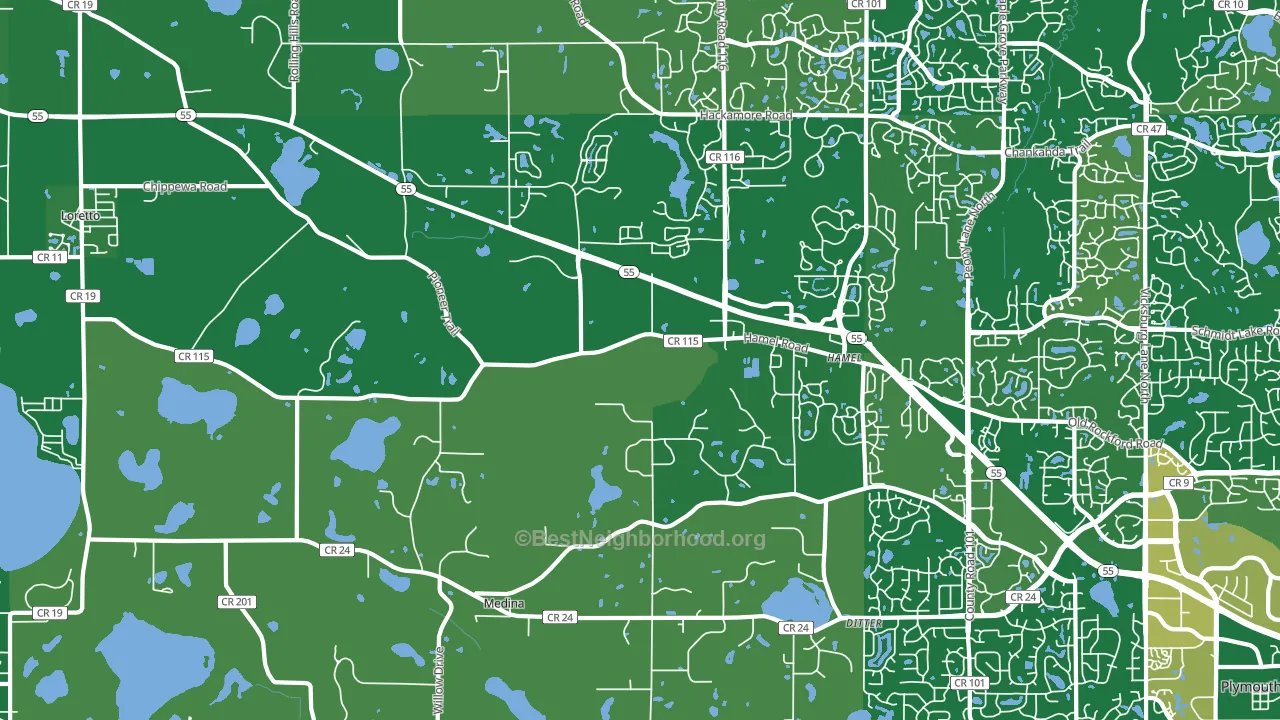 Medina, MN block-group voter-turnout map