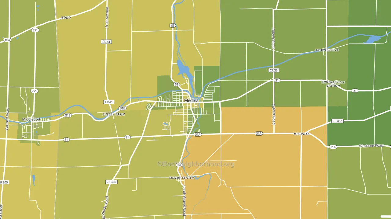 Medina, NY block-group voter-turnout map