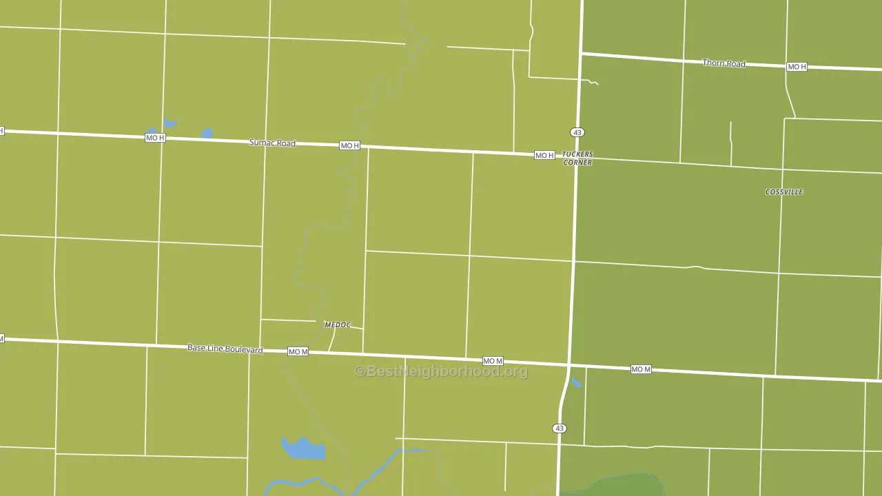 Medoc, MO block-group voter-turnout map