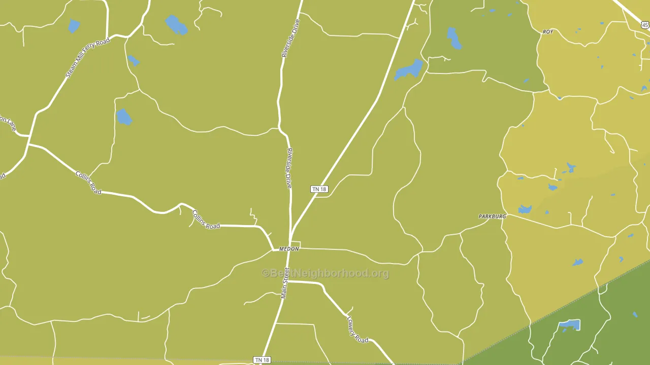 Medon, TN block-group voter-turnout map