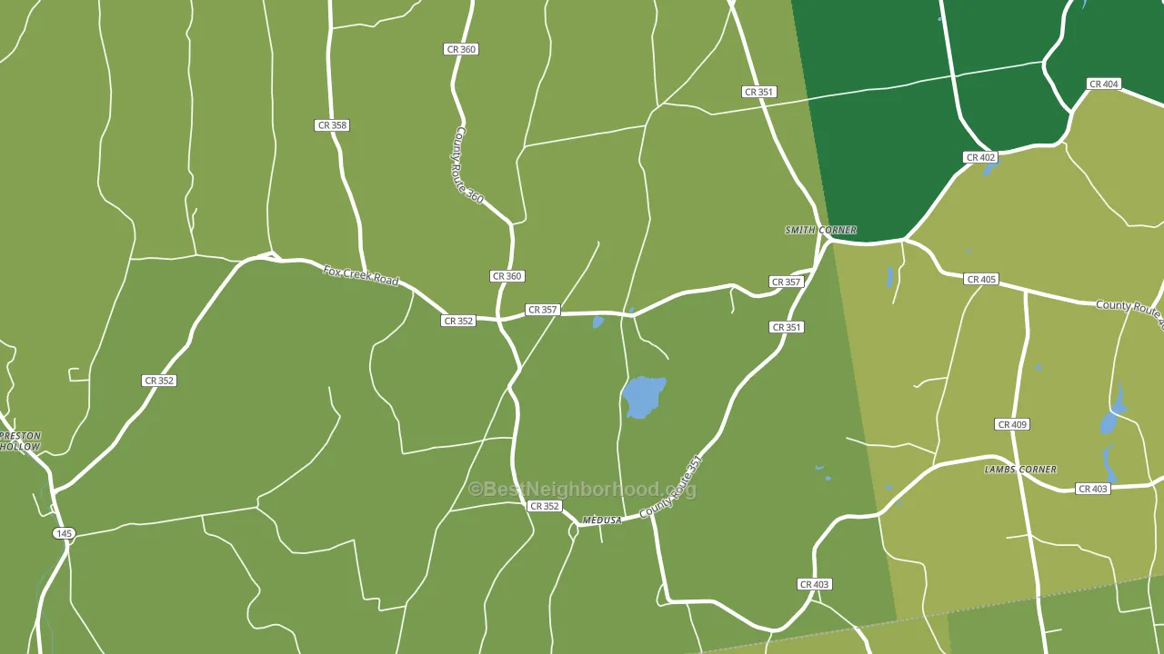Medusa, NY block-group voter-turnout map