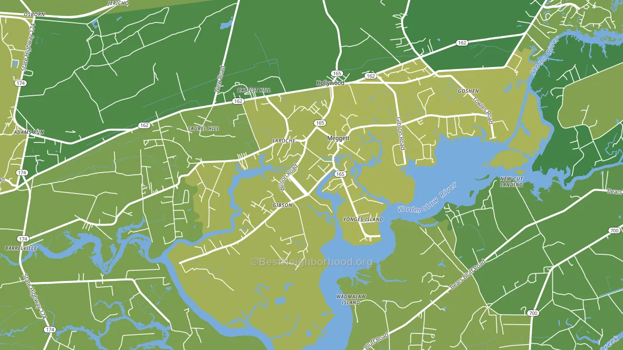 Meggett, SC block-group voter-turnout map