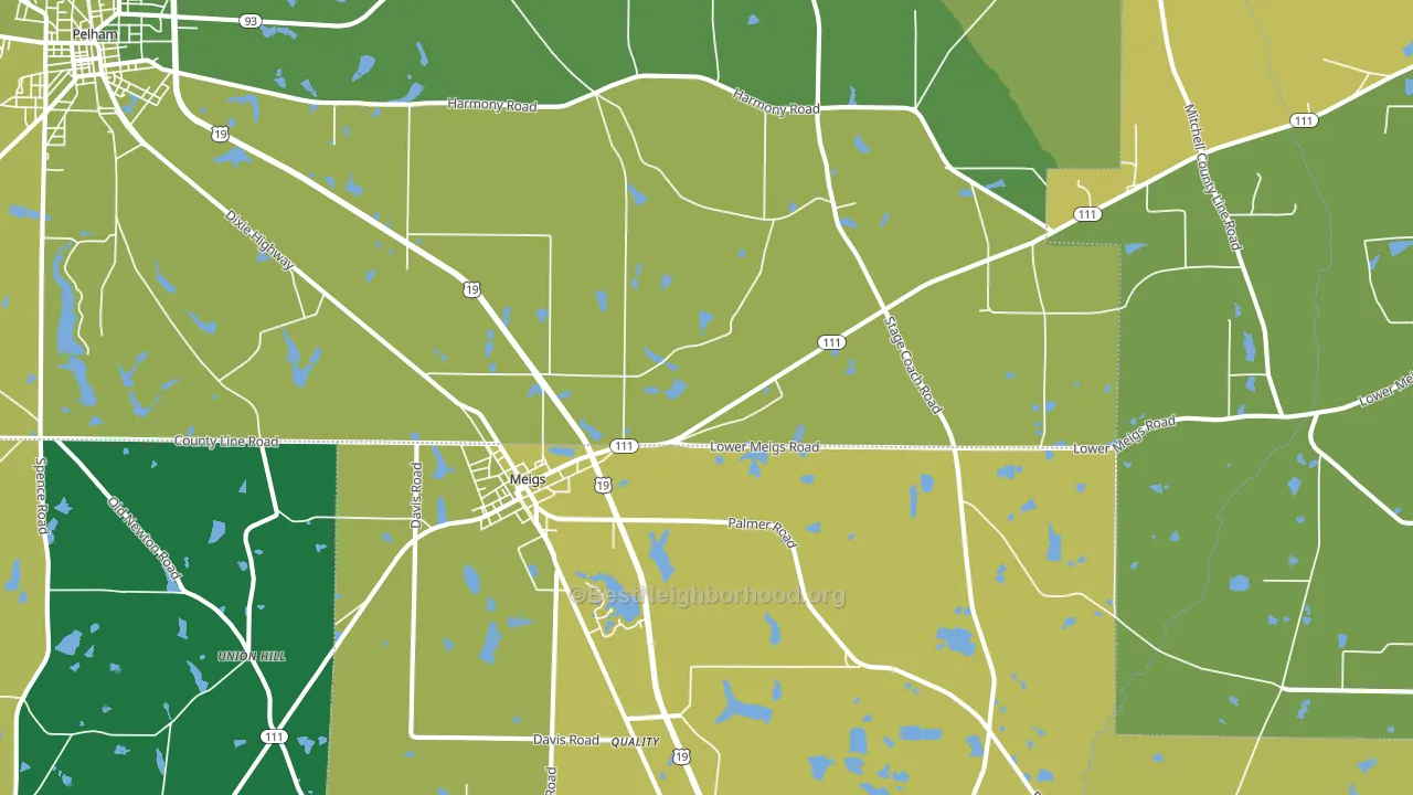 Meigs, GA block-group voter-turnout map