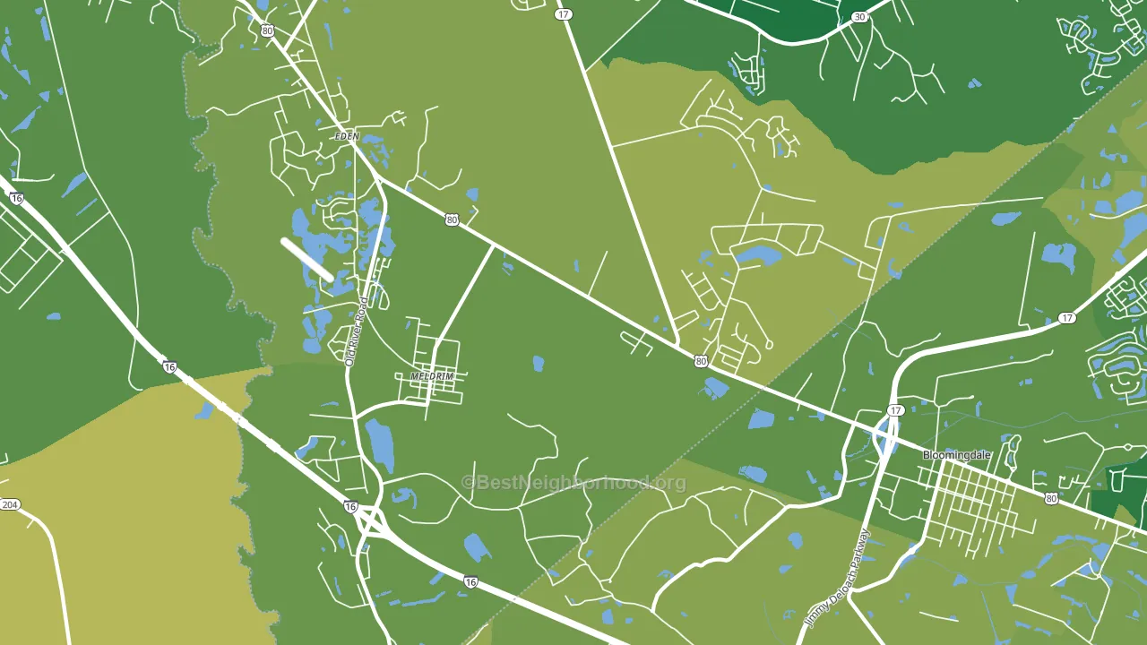 Meldrim, GA block-group voter-turnout map