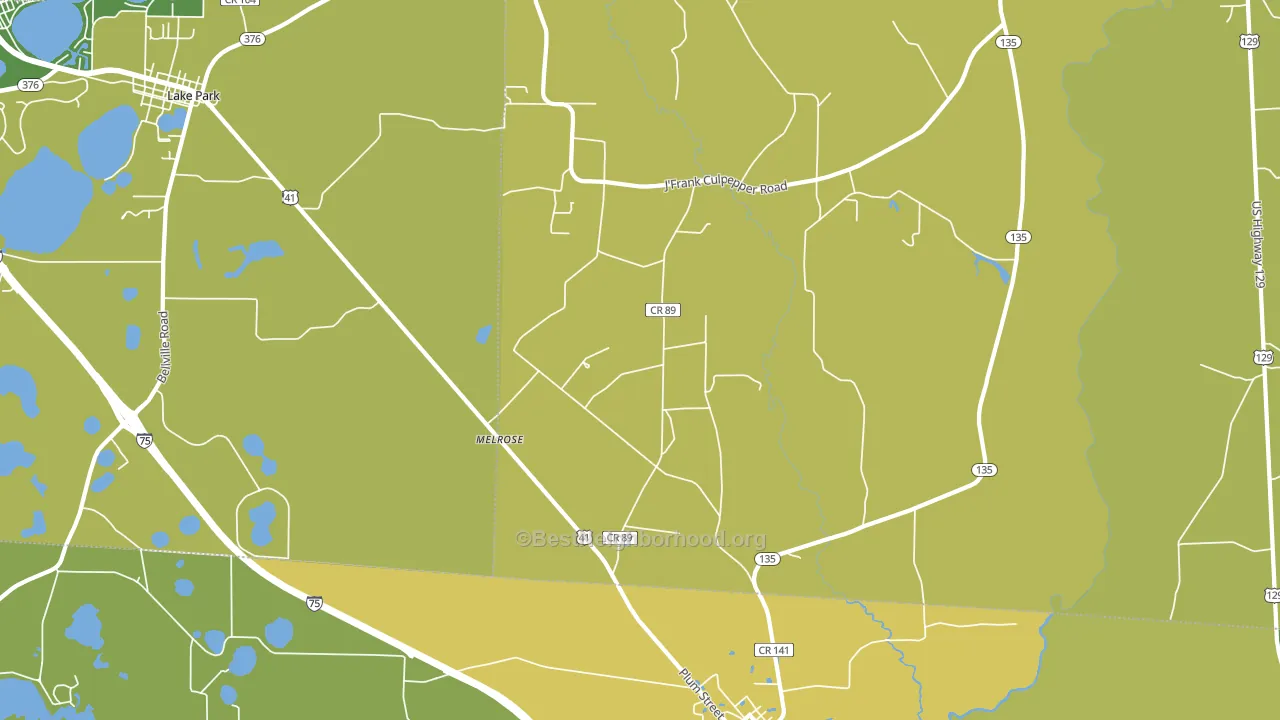 Melrose, GA block-group voter-turnout map