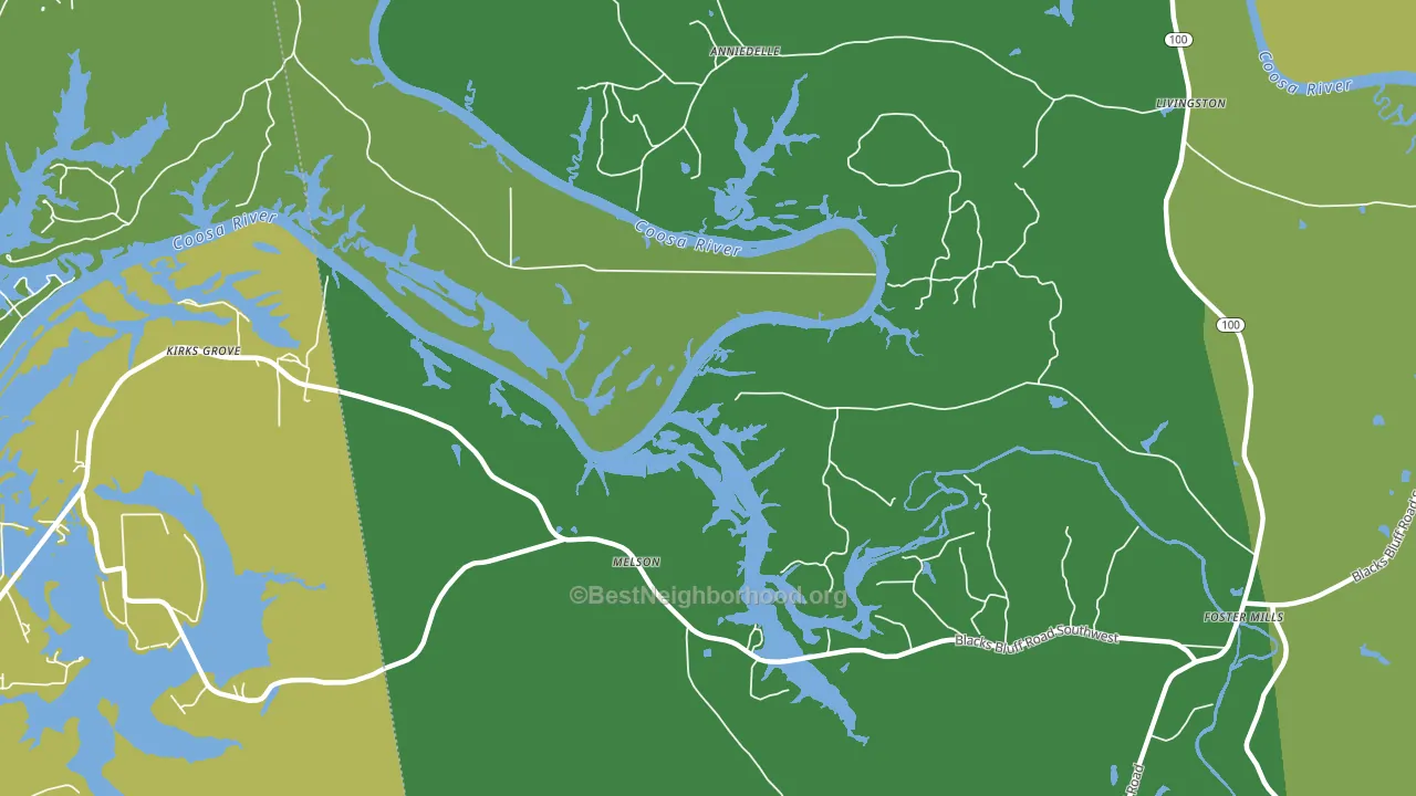 Melson, GA block-group voter-turnout map